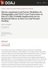 Myrtus Communis Leaf Extract Modulates IL-1α and VEGF Gene Expressions in HaCaT Cells: Probable Implications for Its Beneficial Effects in Hair Loss and Wound Healing