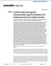 Colistin Adorned Topical Nanoemulsion Gel Formulation for Enhanced Antimicrobial Activity