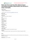 Mast-Cell Driven Dermal White Adipose Tissue Remodeling Amplifies Inflammation and Fibrosis in Atopic Dermatitis