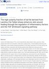 The High-Polarity Fraction of Tail Fat Derived from Lanzhou Fat-Tailed Sheep Enhances Skin Wound Healing Through the Regulation of Inflammatory Factors and the TGF-β1/Smad3 Signaling Pathway