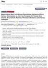 Mesenchymal Stem Cell-Derived Extracellular Vesicles and Plant-Derived Nanovesicles as Cell-Free Therapies for Thermal Burn Healing: A Systematic Review of Preclinical Evidence and Delivery Strategies