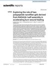 Exploring the Role of Two Polypeptide Nanofiber Gels Derived from RADA16-I Self-Assembly in Accelerating Burn Wound Healing