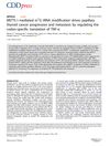 METTL1-Mediated m7G tRNA Modification Drives Papillary Thyroid Cancer Progression and Metastasis by Regulating the Codon-Specific Translation of TNF-α