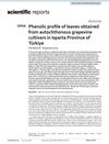 Phenolic Profile of Leaves Obtained from Autochthonous Grapevine Cultivars in Isparta Province of Turkey