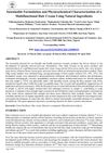 Sustainable Formulation and Physicochemical Characterization of a Multifunctional Hair Cream Using Natural Ingredients