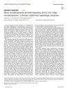Bone morphogenetic protein signaling drives rete ridge morphogenesis: a distinct epidermal appendage program