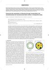 Enhanced Skin Penetration of Lidocaine Through Encapsulation Into Nanoethosomes and Nanostructured Lipid Carriers: A Comparative Study