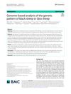 Genome-Based Analysis of the Genetic Pattern of Black Sheep in Qira Sheep