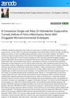 A Consensus Single-Cell Atlas of Hidradenitis Suppurativa Tunnels Defines a Fibro-Inflammatory Niche with Druggable Microenvironmental Endotypes