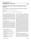 Skin and Scalp Under Exposure to High-Energy Visible Light: The Current Perspective