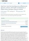 Data from: Social hair plucking across affiliative and agonistic contexts, with health considerations, in captive rhesus macaques (<em>Macaca mulatta</em>)