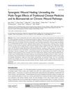 Synergistic Wound Healing: Unraveling the Multi-Target Effects of Traditional Chinese Medicine and Its Biomaterials on Chronic Wound Pathways