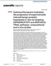 Hydroxychloroquine Modulates the Progression of Experimentally Induced Benign Prostatic Hyperplasia in Rats via Targeting EGFR/ERK/STAT3 and AR/FOXO1/TRAIL Pathways: Computational and In Vivo Studies