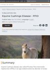 Equine Cushing's Disease - Pituitary Pars Intermedia Dysfunction