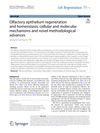 Olfactory Epithelium Regeneration And Homeostasis: Cellular And Molecular Mechanisms And Novel Methodological Advances