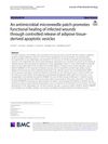An Antimicrobial Microneedle Patch Promotes Functional Healing of Infected Wounds Through Controlled Release of Adipose Tissue-Derived Apoptotic Vesicles