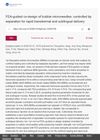 FEA-guided co-design of bubble microneedles: controlled tip separation for rapid transdermal and sublingual delivery