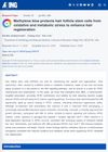 Methylene Blue Protects Hair Follicle Stem Cells From Oxidative and Metabolic Stress To Enhance Hair Regeneration