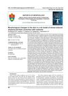 Morphological Changes in the Skin in a Rat Model of Stress-Induced Alopecia and Their Correction with Nutrients