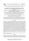 Successful 28-Day Combination Therapy of Malassezia Dermatitis in a 1-Year-Old Mixed Small-Breed Dog: A Case Report