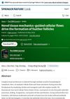 Novel Tissue Mechanics-Guided Cellular Flows Drive the Formation of Feather Follicles