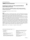 Dual Blockage of P-Cadherin and c-Met Synergistically Inhibits the Growth of Head and Neck Cancer