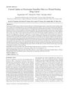 Current Update on Electrospun Nanofiber Mats as a Wound Healing Drug Carrier