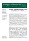 Diagnosis and Management of Canine Atopic Dermatitis in a Labrador Retriever: A Case Report