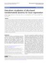 Data-Driven Visualization of Silica-Based Nanobiomaterial Dynamics for Tissue Regeneration